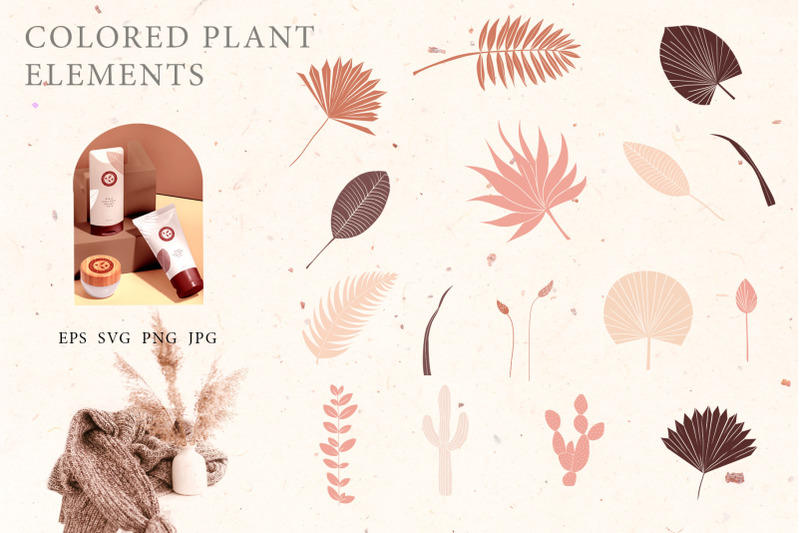 desert-creator-colored-plant-elements