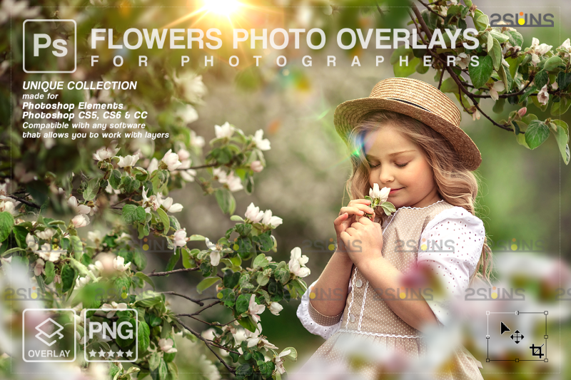 flower-overlay-amp-photoshop-overlay-floral-digital-backdrop