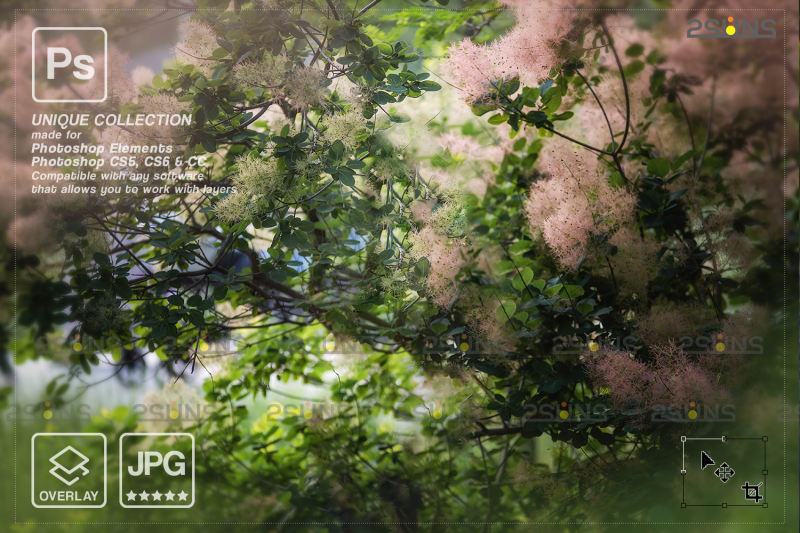 floral-backdrop-amp-digital-backdrop-photoshop-overlay