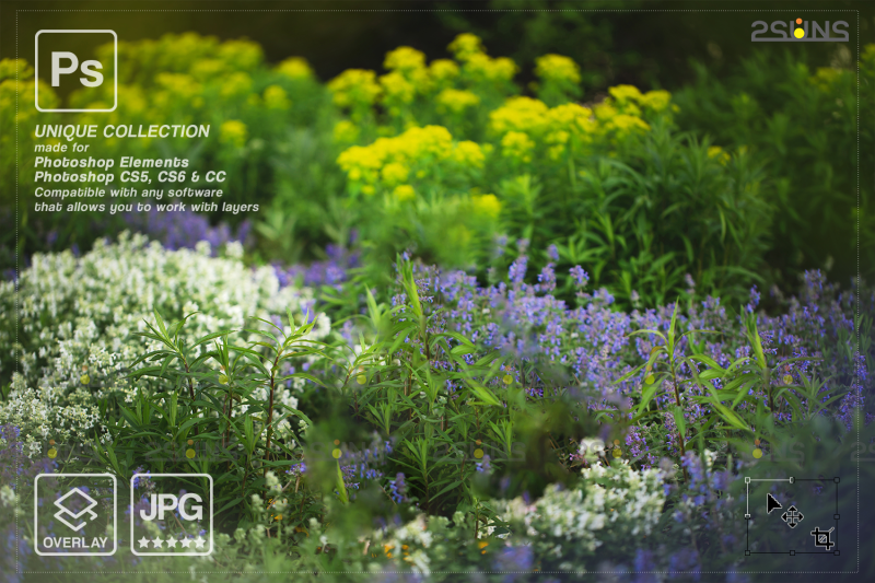 floral-backdrop-amp-digital-backdrop-photoshop-overlay
