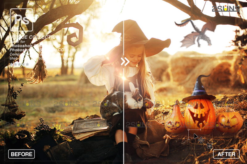 halloween-overlay-amp-photoshop-overlay-halloween-clipart-skull-png