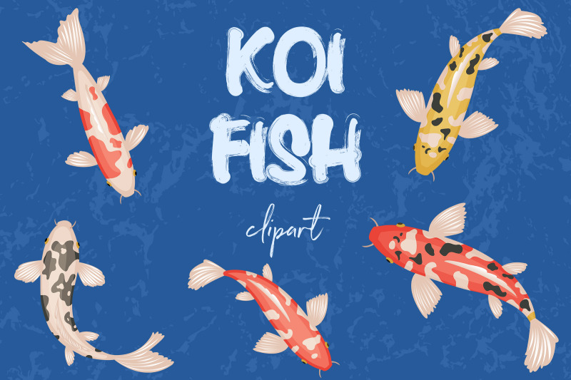 koi-fish-clipart-koi-carps-images