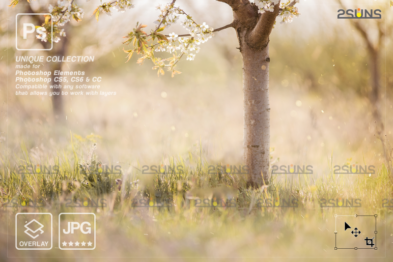 floral-backdrop-amp-photoshop-overlay-flower-overlays-easter-digital