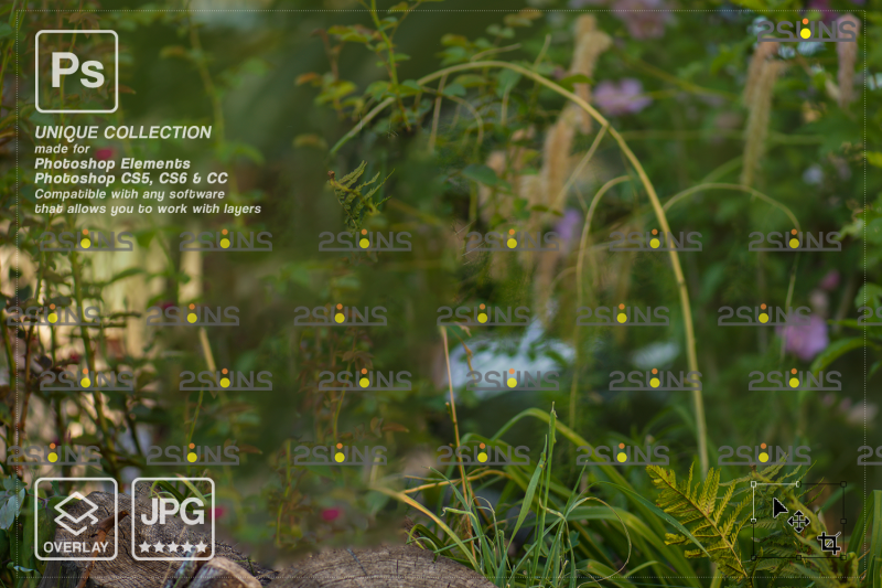 floral-digital-backdrop-amp-photoshop-overlay-flower-overlay
