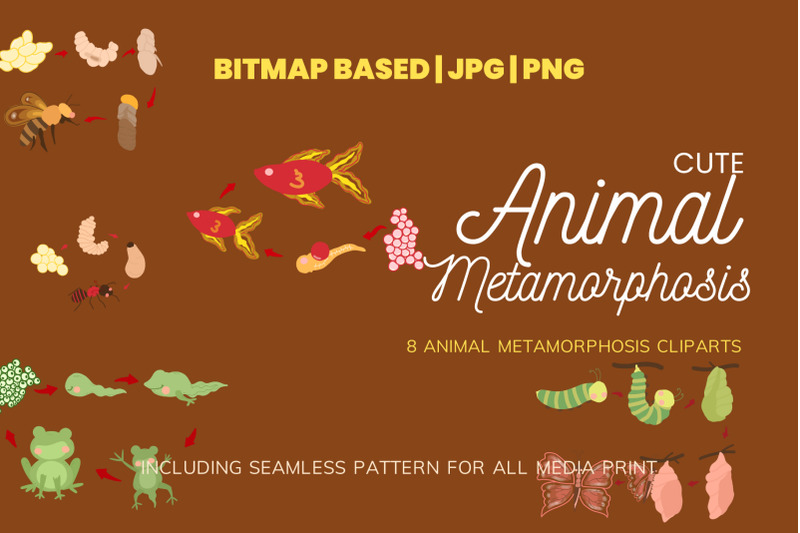 metamorphosis-8-clipart-plus-seamless-pattern