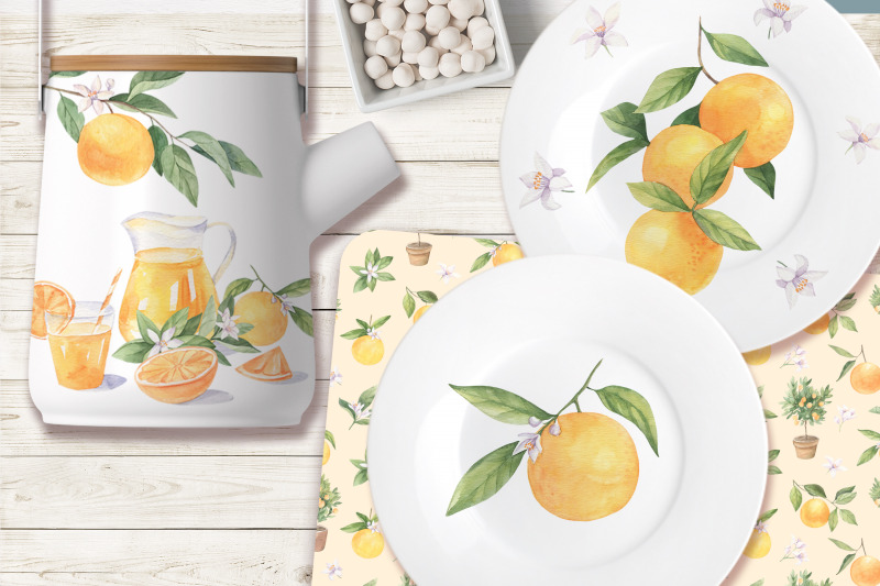 watercolor-oranges-botanical-set