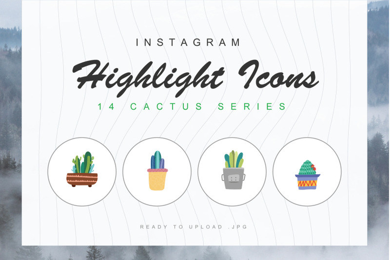 14-cactus-instagram-highlight-cover-icons