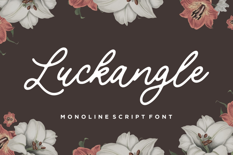 luckangle-monoline-script-font