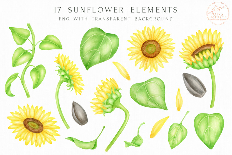 sunflowers-png-watercolor-flowers-and-leaves-clipart-set