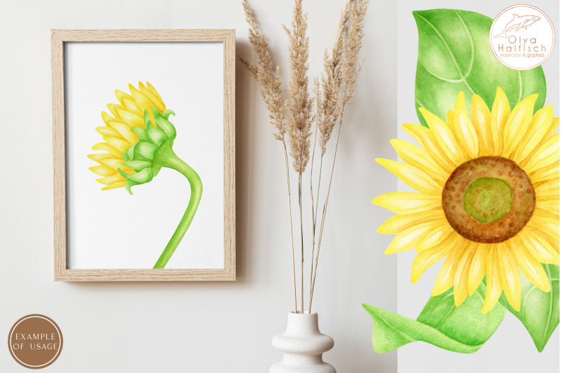 sunflowers-png-watercolor-flowers-and-leaves-clipart-set