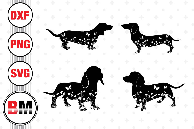 dachshund-floral-svg-png-dxf-files