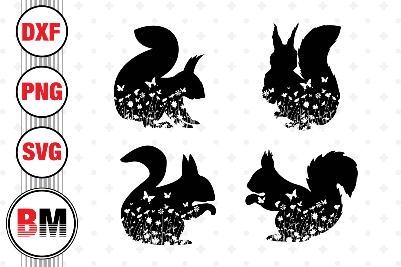 squirrel-floral-svg-png-dxf-files