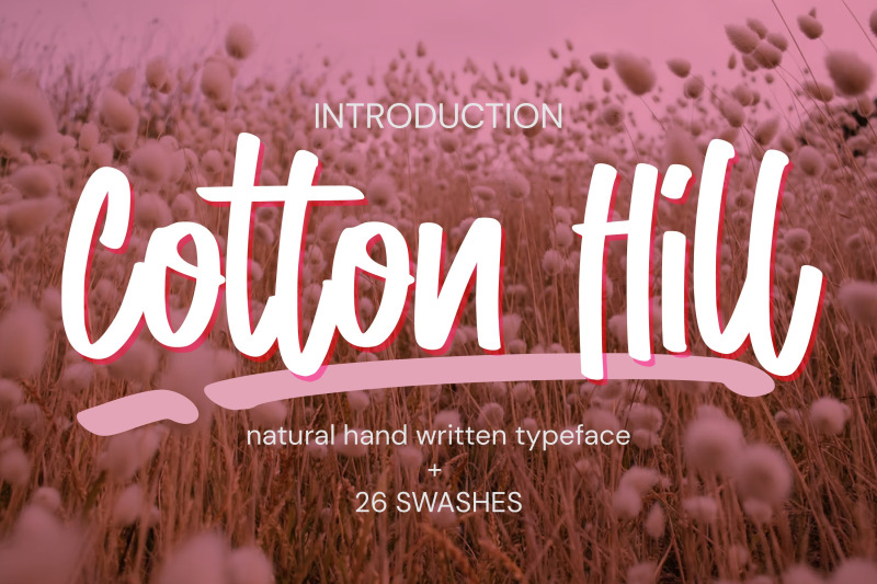 cotton-hill