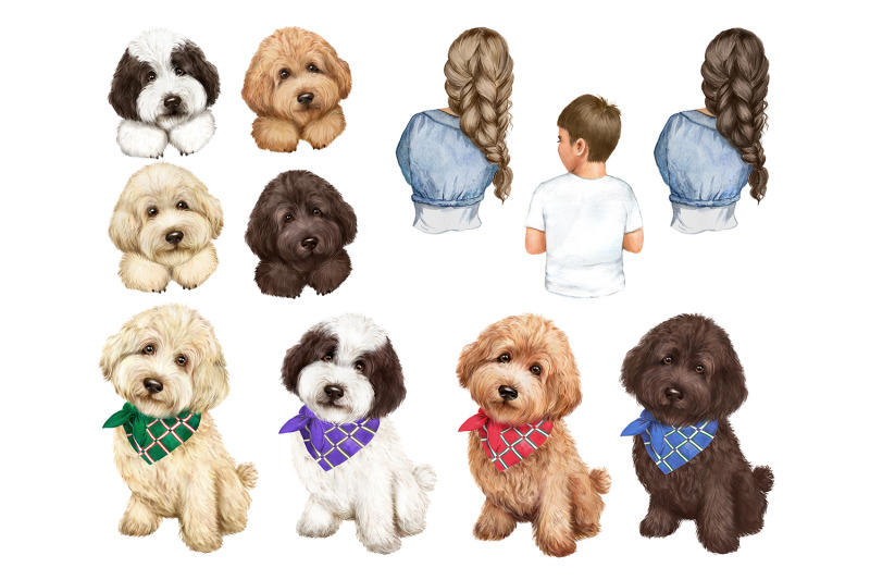 watercolor-clipart-with-dogs-goldendoodles-labradoodles-dog-breed
