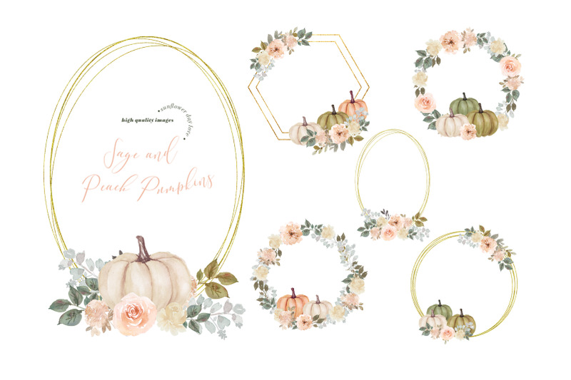 frame-sage-and-peach-pumpkins-clipart-white-cream-amp-green-pumpkin