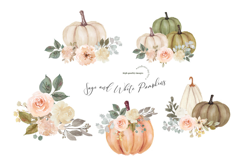 sage-and-peach-pumpkin-clipart-pumpkin-clipart-arrangements-pumpkin