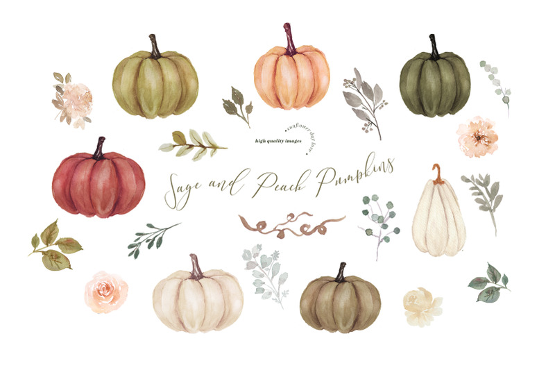 modern-sage-and-peach-pumpkin-clipart-fall-autumn-floral-leaves