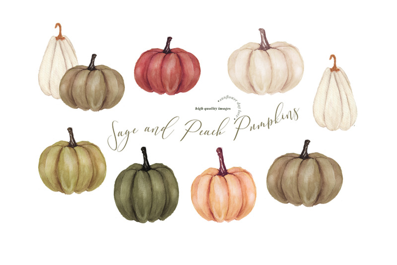 modern-sage-and-peach-pumpkin-clipart-fall-autumn-floral-leaves