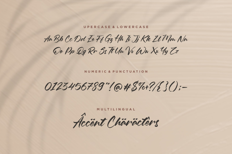 oleandro-modern-calligraphy-font
