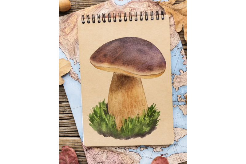 watercolor-mushrooms-clipart-forest-fungi-autumn-mushrooms-png