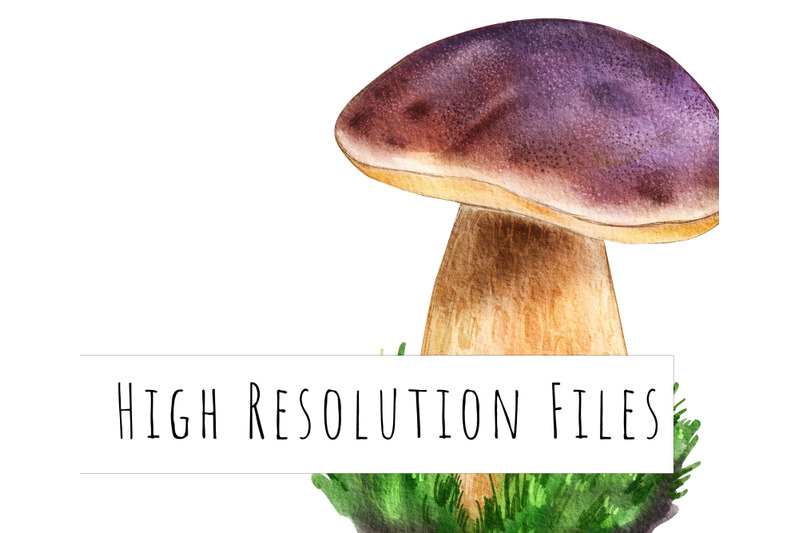 watercolor-mushrooms-clipart-forest-fungi-autumn-mushrooms-png