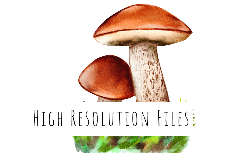 watercolor-mushrooms-clipart-forest-fungi-autumn-mushrooms-png