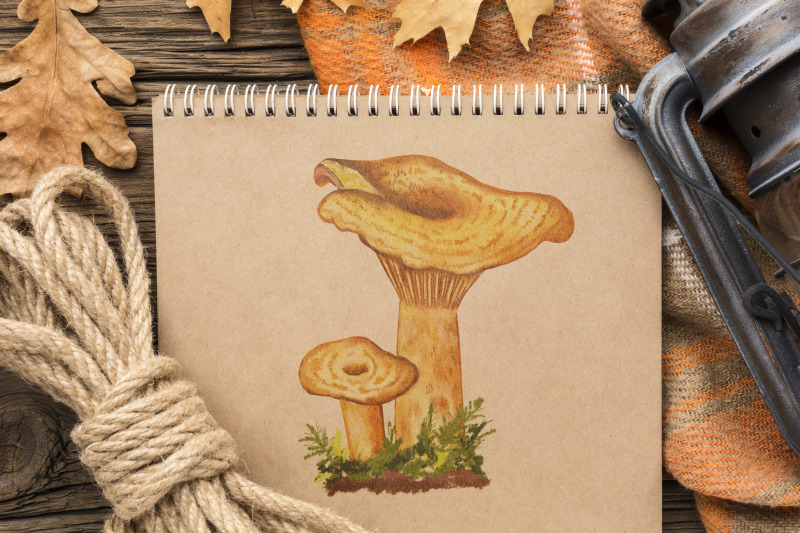 watercolor-mushrooms-clipart-forest-fungi-autumn-mushrooms-png