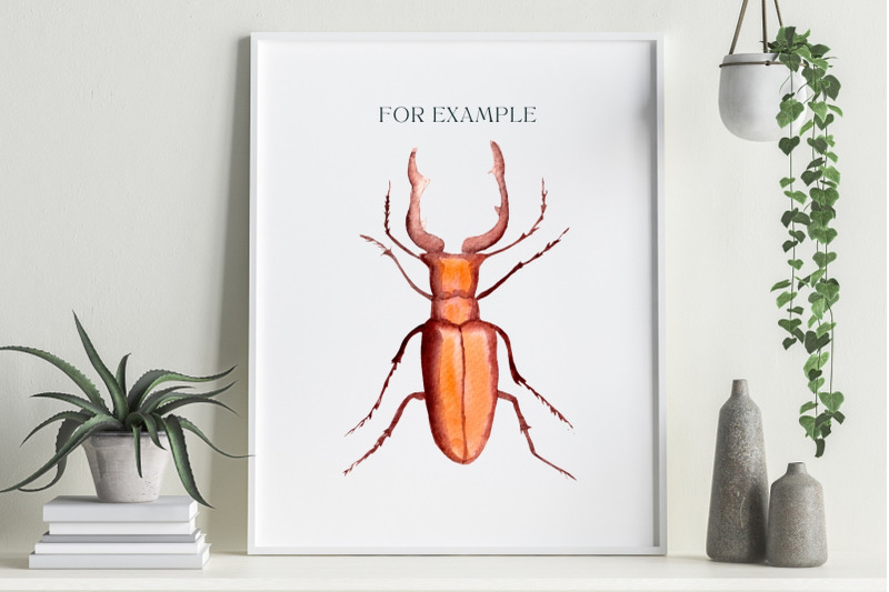 watercolor-insects-illustration-cliparts-biological-set