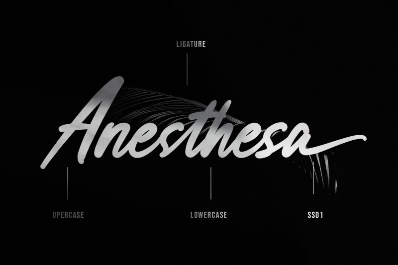 anesthesa-handcrafted-script-font