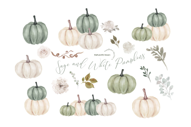 elegant-sage-and-white-pumpkins-clipart-watercolor-fall-pumpkin