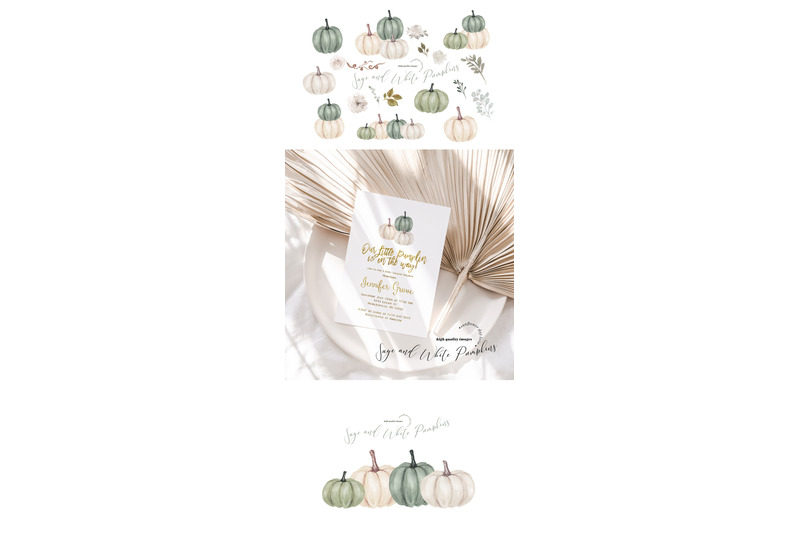 elegant-sage-and-white-pumpkins-clipart-watercolor-fall-pumpkin