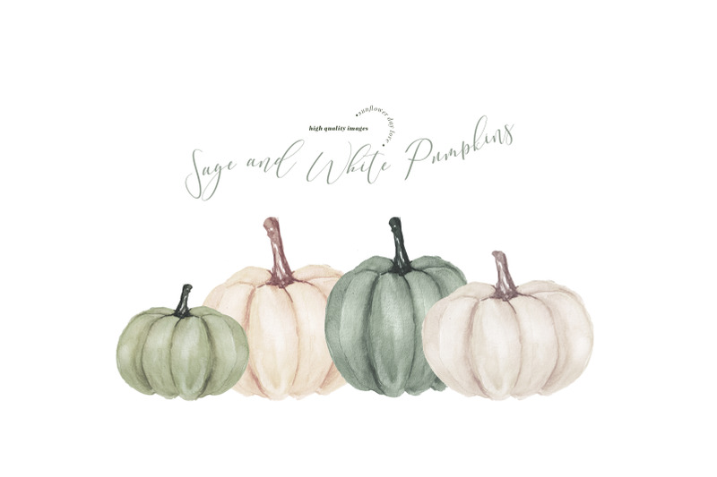 elegant-sage-and-white-pumpkins-clipart-watercolor-fall-pumpkin