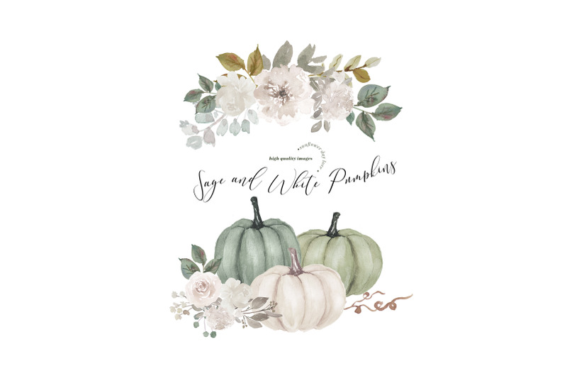 sage-and-white-arrangements-pumpkins-clipart-digital-pumpkin-planner