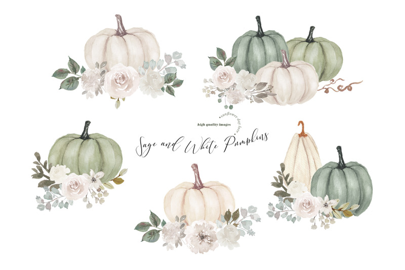 sage-and-white-arrangements-pumpkins-clipart-digital-pumpkin-planner