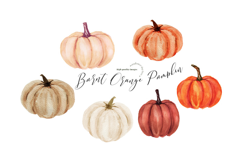 burnt-orange-pumpkin-clipart-boho-floral-leaves-pumpkin-watercolor