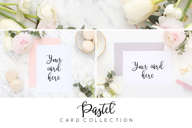 50-percent-off-card-styled-stock-bundle