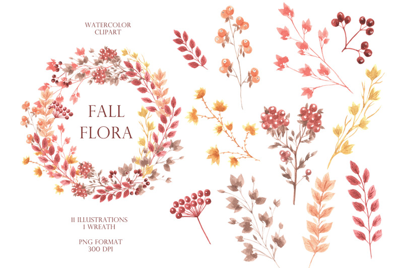 fall-flora-clipart-leaf-fall-clipart-plant-leaf-branch-berry