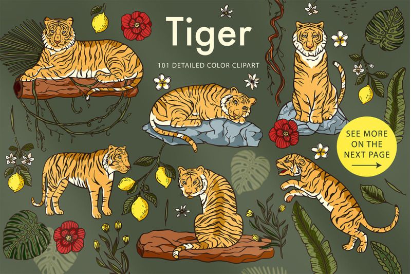 tiger-illustration-graphic-bundle