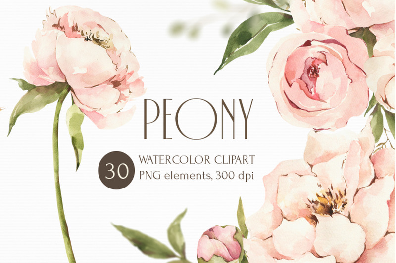 watercolor-peony-clipart-floral-elements-bouquets-wreaths