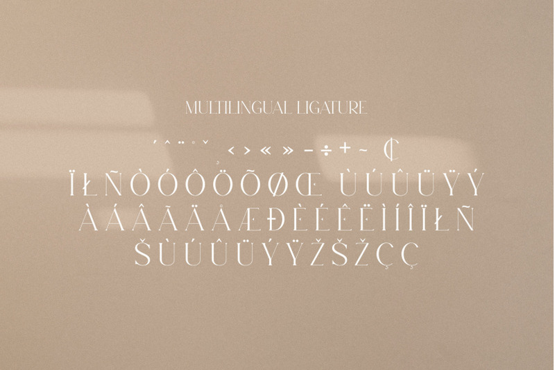 levaus-ligature-typeface
