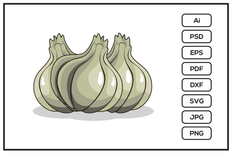 garlic-design-illustration