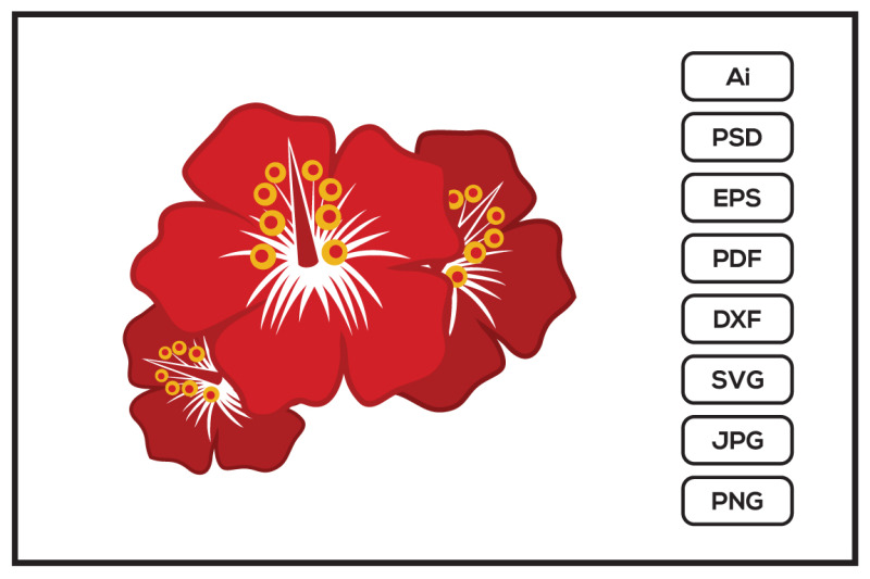 hibiscus-flower-design-illustration