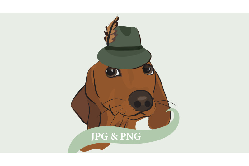 dachshund-dog-wiener-dog-sausage-dog-with-feather-hat