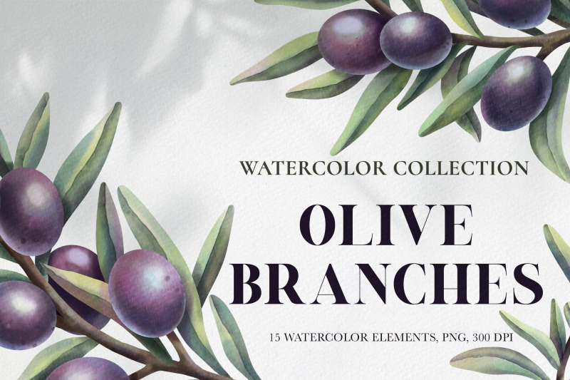 watercolor-olive-branches-clipart-set-png-elements