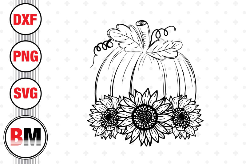 hand-drawn-pumpkin-sunflower-svg-png-dxf-files