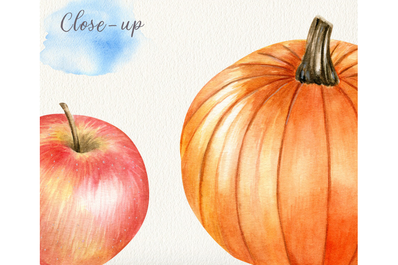 watercolor-thanksgiving-clipart-hand-drawn-autumn-harvest-clip-art