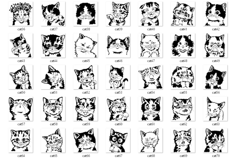 183-cat-portraits-bundle-silly-cats-peeky-cats-baby-cat-kitty