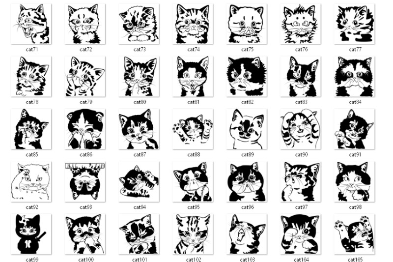 183-cat-portraits-bundle-silly-cats-peeky-cats-baby-cat-kitty
