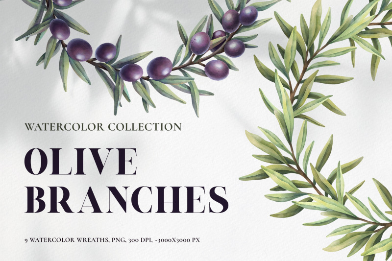 olive-branches-wreaths-watercolor-collection