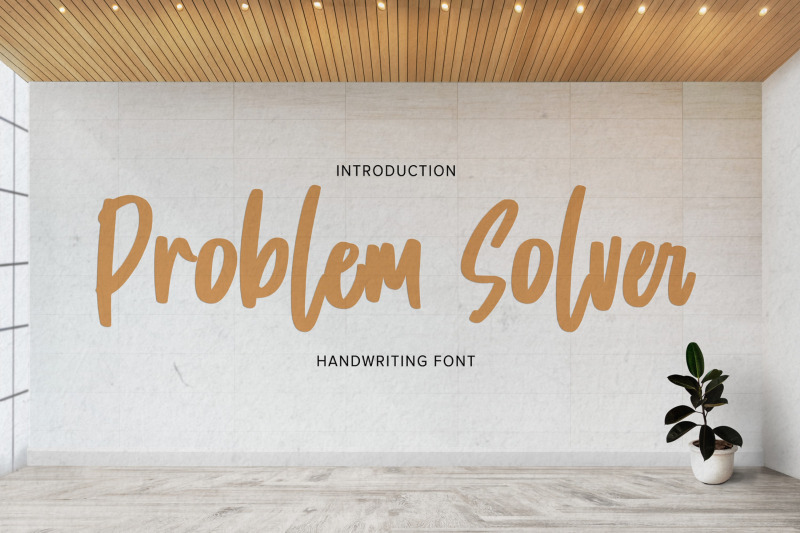 problem-solver